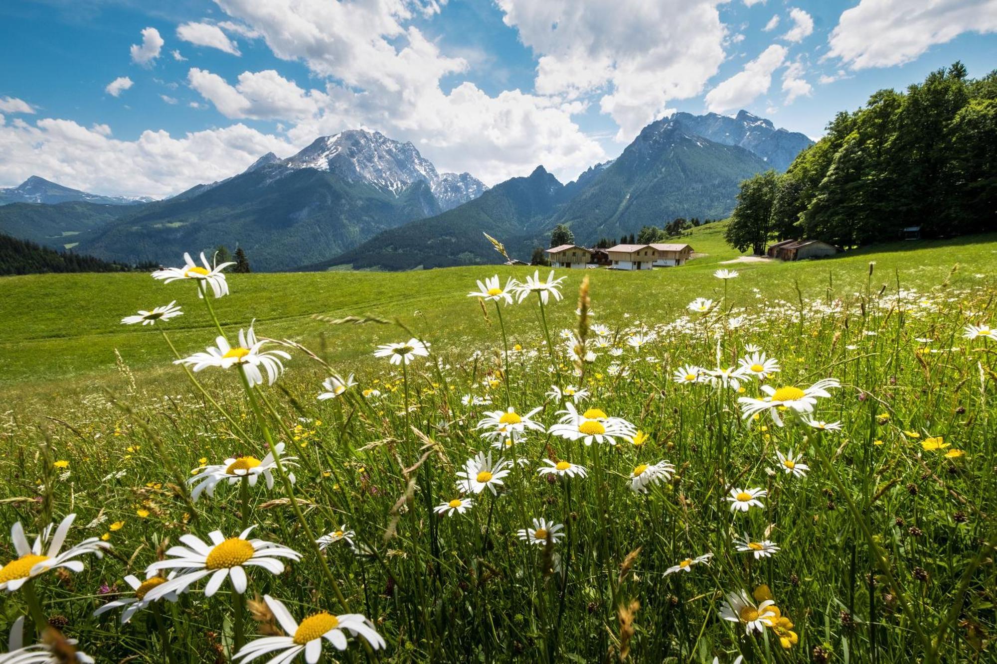 Ettlerlehen Chalets Ramsau bei Berchtesgaden Esterno foto